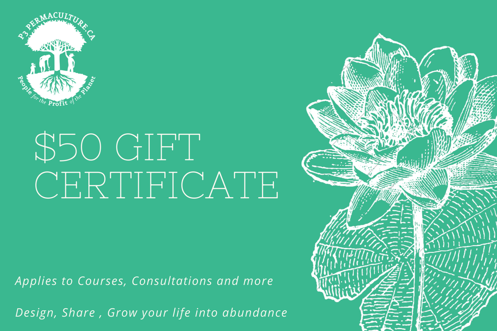 E-Gift Certificate 50