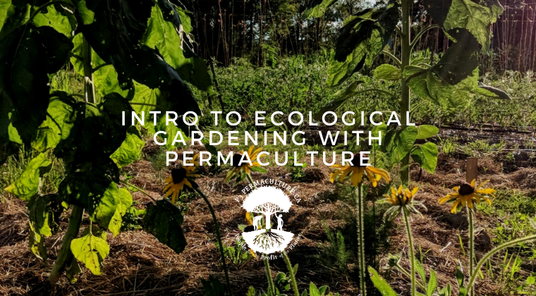 Ecological Garden Design Course