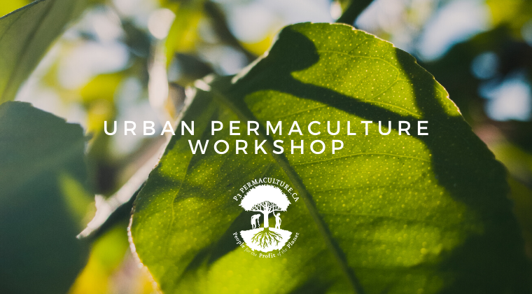 Urban Permaculture Workshop