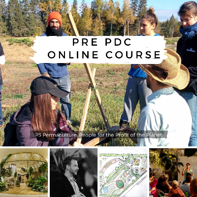Pre PDC Online Course