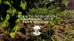 [Intro] Cours Ecological Garden Design