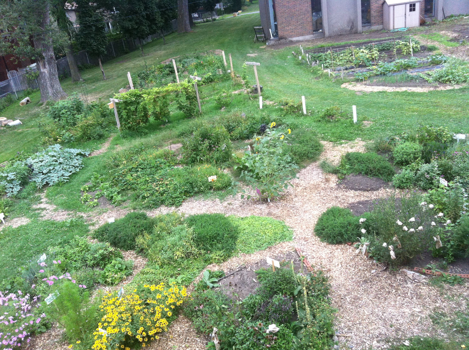 Introduction to Ecological Gardening